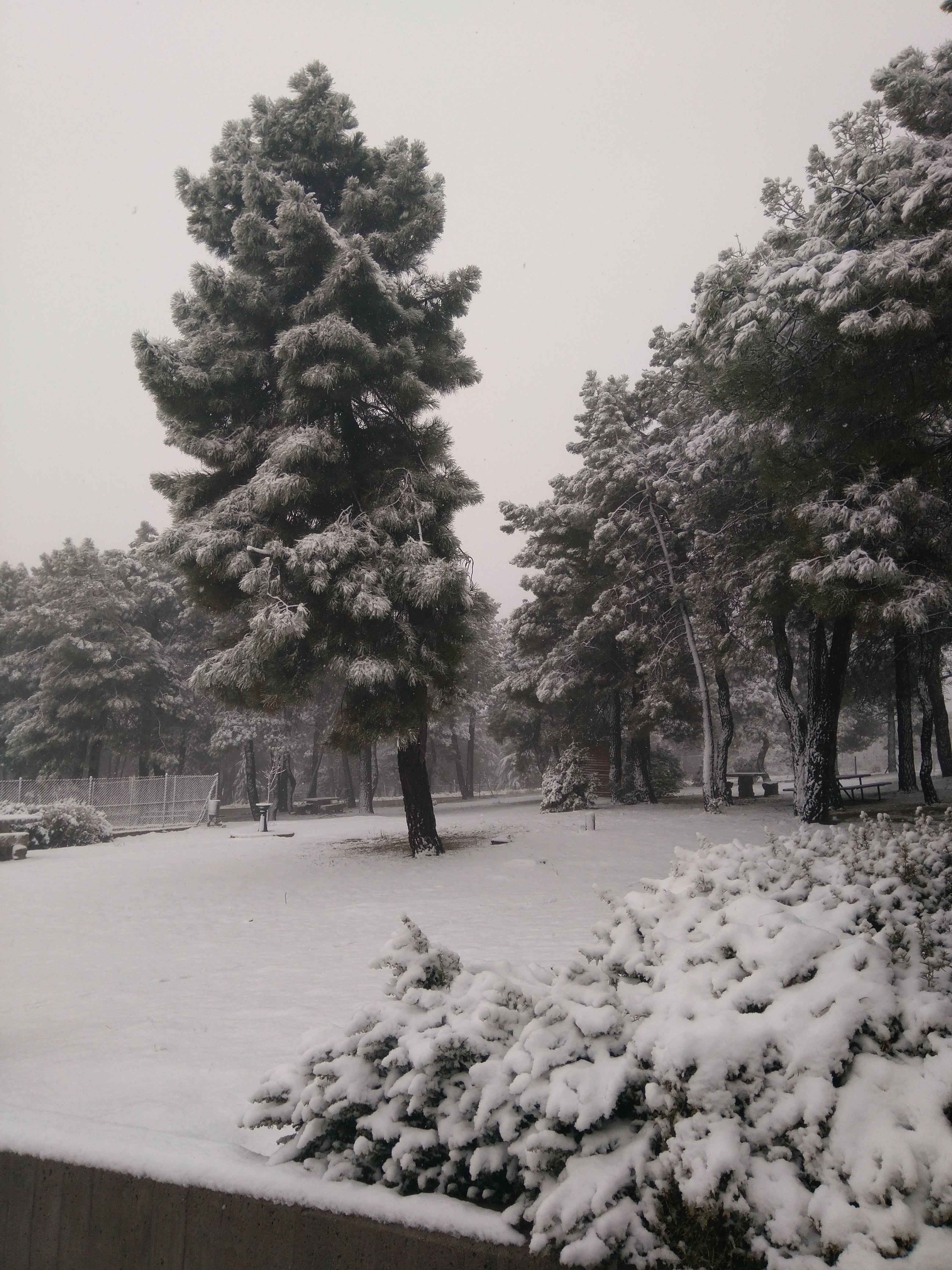 Nieve en La Pinara